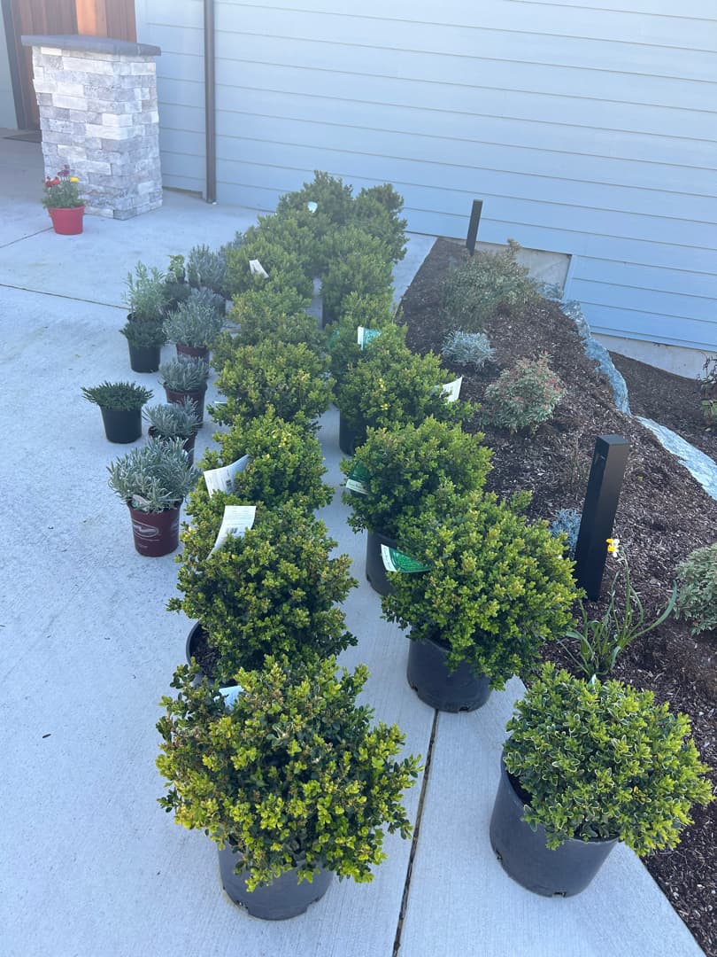 Bluff-View Landscape & Planting gallery 6