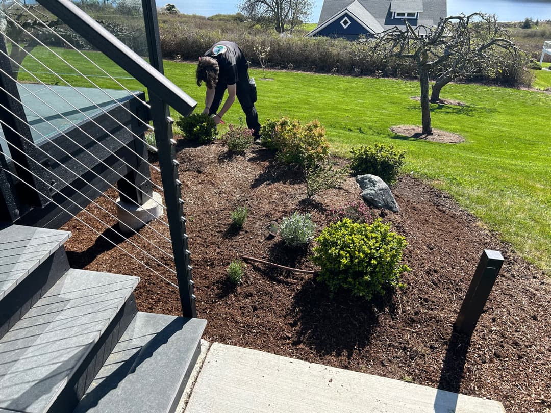 Bluff-View Landscape & Planting gallery 2