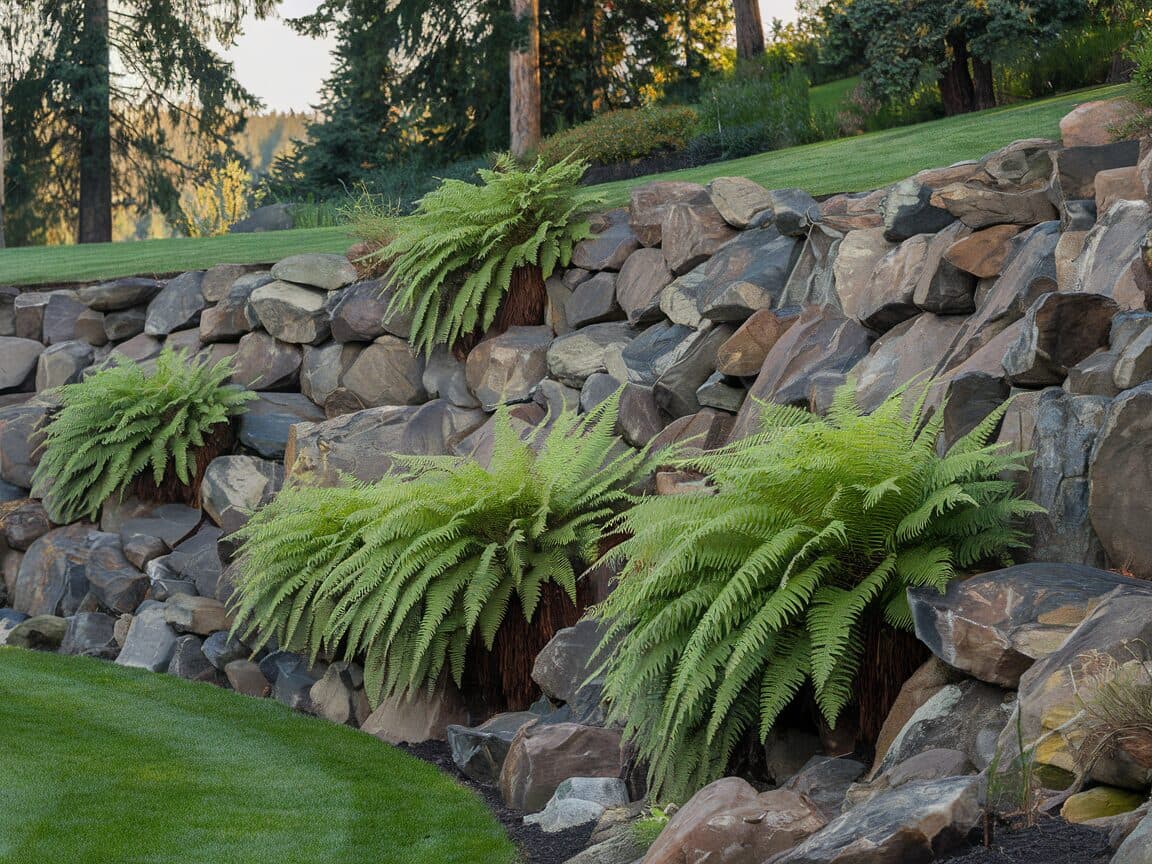 Natural boulder retaining wall terracing sloped Pacific Northwest yard