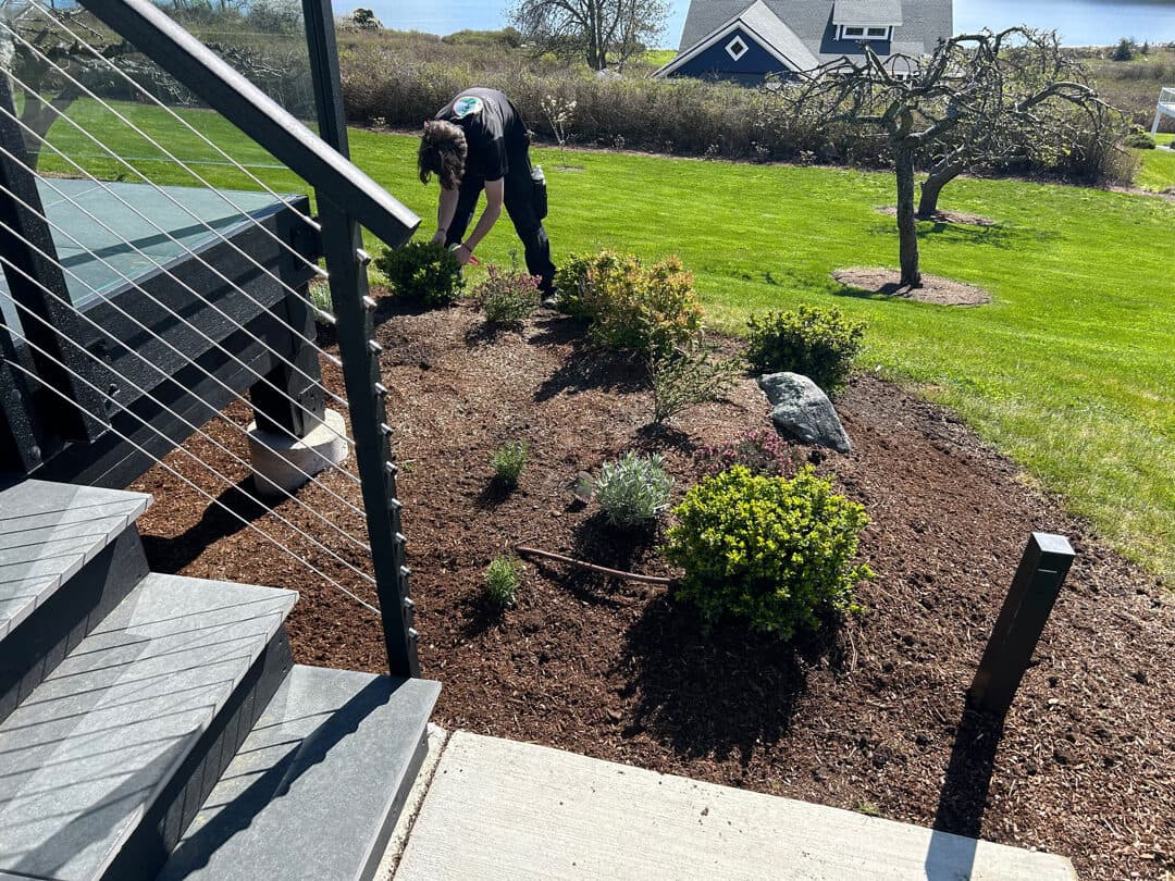 Lawn care and landscape maintenance